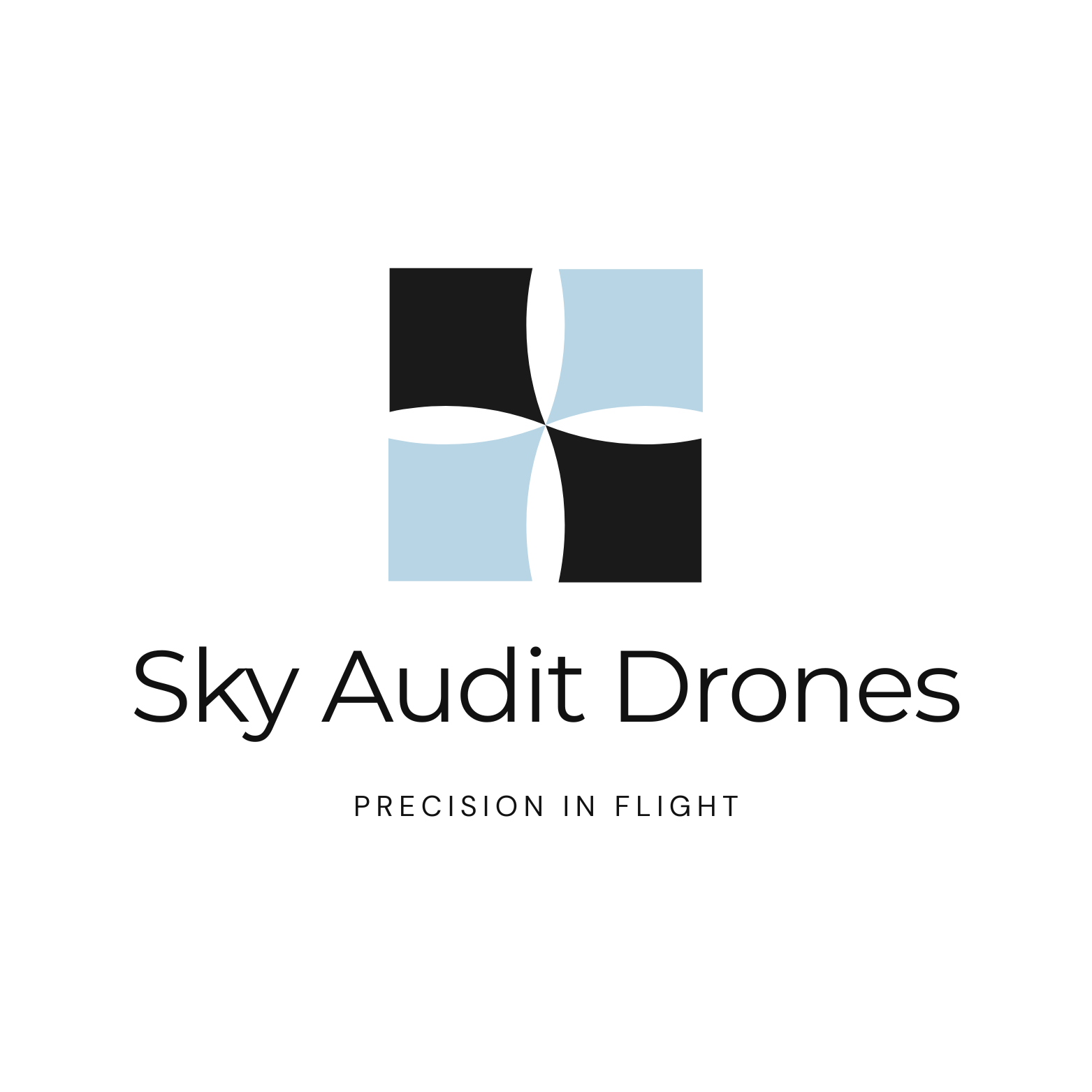 Sky Audit Drones